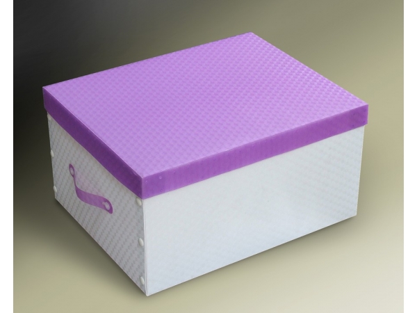 https://cdnbeta.fast.vn/image/cache/data/1/2/40377HOP%20LUU%20TRU%20nho-600x450.jpg