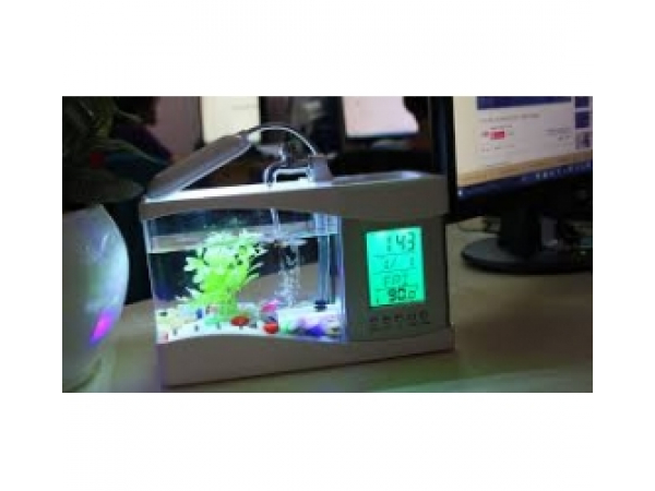 https://cdnbeta.fast.vn/image/cache/other/be-ca-mini-tich-hop-led-2879-600x450.jpg